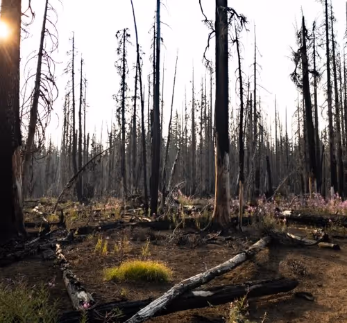 2005862319158051831365229387864138466486092287762213337058068717530003800065