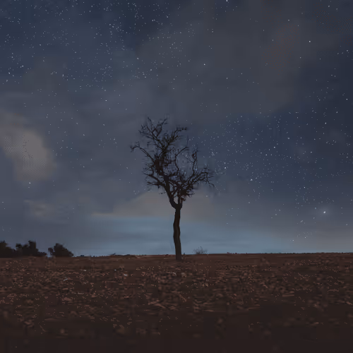 Never stop looking up