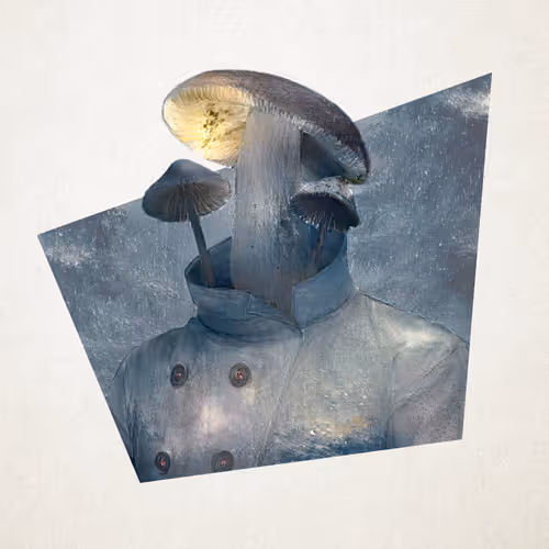 Item #19666948566759485662770535688776361214672286684098002644730326634898097438721 Media