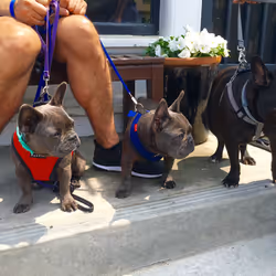 99031261785432219130552668818269695456905868997165113515571762372027789344769