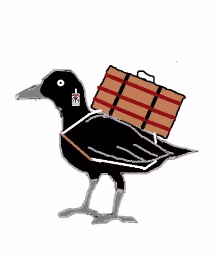 Item #99155846228584883557785414105377206305822988358740670130009002073870361952257 Media