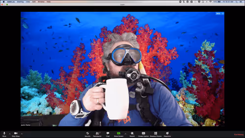 Item #45326687852810860155414723290028696241926340860561101942400086109770695573505 Media