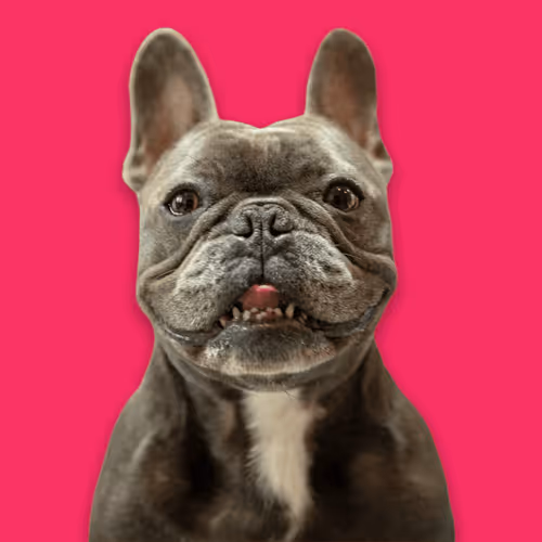 Item #99031261785432219130552668818269695456905868997165113515571762254380045172737 Media