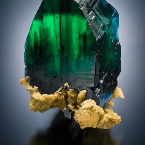 Item #106059433560144941752021416992731041627123049432541454945072302684033387593729 Media