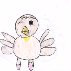 Lovely bird