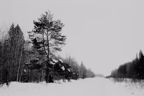 Item #34811634924862855090105769671786307071201187759740501250683185404566449422337 Media