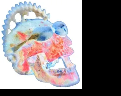 Item #43285704890229129405120454528472841212308233019022044035391579445640931836904 Media