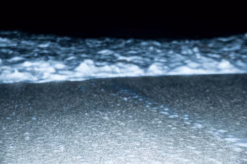 Item #65334289746679534718729475887804441956060191570096093289886828092678587023361 Media