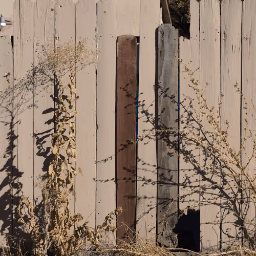 Item #63469761567061717341732170854689072472341875368113613158341509154644951040001 Media