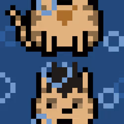 62467536445418901683526312390752010330375978015730577464472944307300894507009