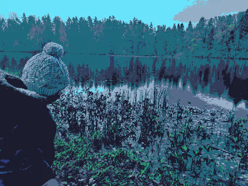 Untitled Collection #94582456