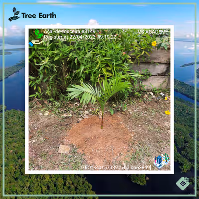 Item #8500196597889277390194123329501889087166328879864934763448349378969685983233 Media