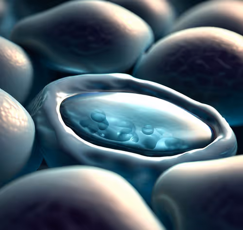 Item #15900858524274065462397165605509062893973264951757804275935713286238683267073 Media