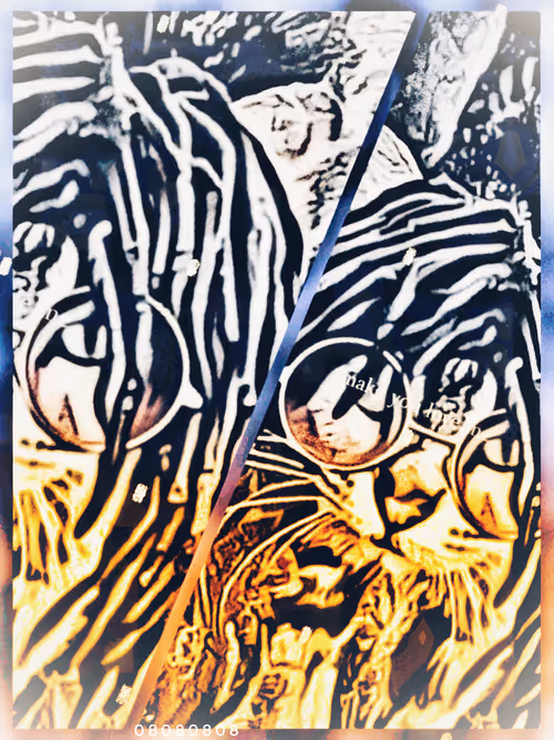 Item #79960430426561695494080117896553478252784794469094828787665606271714889565160 Media