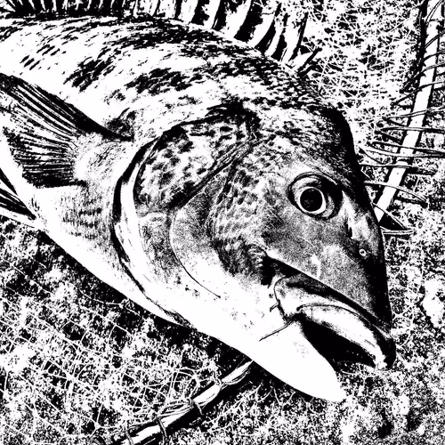 Untitled Collection #74542130