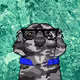 9062370484086238493623257247332117321630072462054739836036967171458695430145