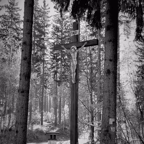 Item #45379688889578269804050940960801147977677279461420903634206690023515201994753 Media