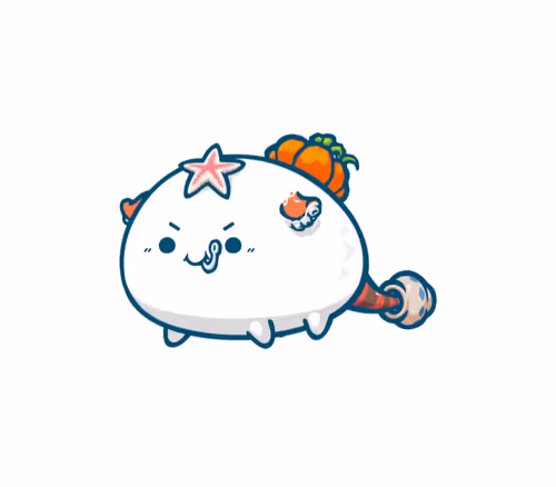 Untitled Collection #245926578