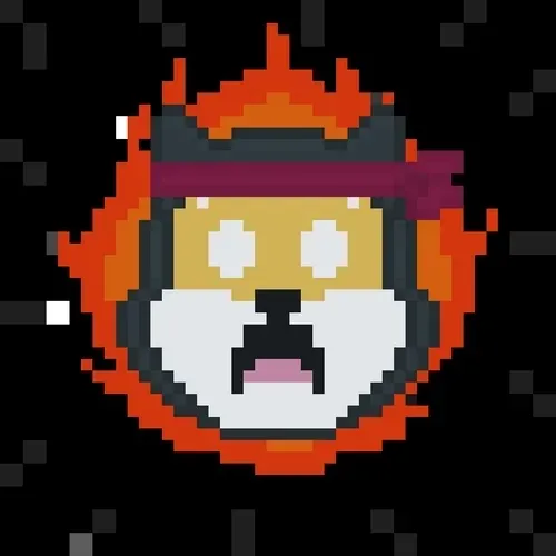 Rocket Shiba #4355