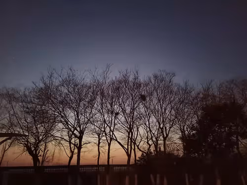 Untitled Collection #189023020