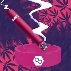 28129698307208832899864603379983005648508892752257228648004562928897636696065