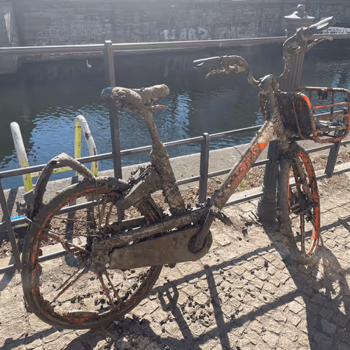 Item #35339417924445304267052449174579644074826086506751043788329225554328452857956 Media