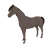 40699506028253024724348940758205175626529987663965247046696861513386446290945