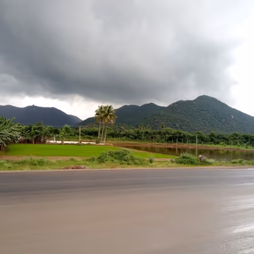 Untitled Collection #112533752