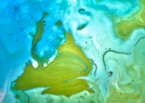 Item #100215834348252495882822669410041435854807957610066919475091088289959707148289 Media