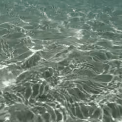 Animated Ocean Floor