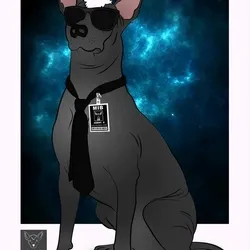 115412186582648874764752321087999128692557907064492986516876109637048218943489