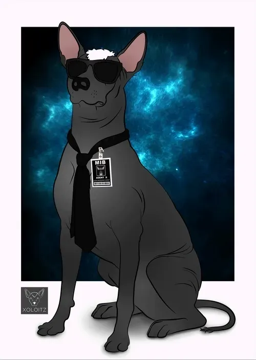 Item #115412186582648874764752321087999128692557907064492986516876109637048218943489 Media