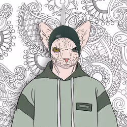 sfenks cat nft #012