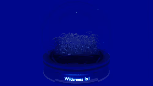 Item #61137608966157822000222282957657311189320121876544658090320369820584281899508 Media