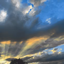 Rays