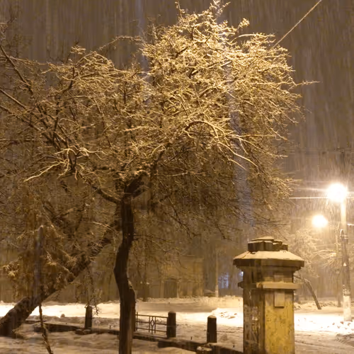 Item #49518076105833359798794169492002835068407160886193692662992092593714123243521 Media