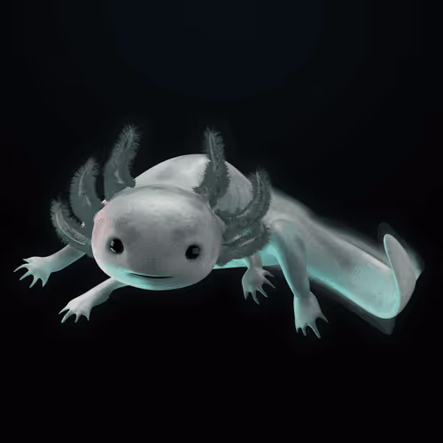 Item #39982110375740153587505644478940195082872270202471884348459982283239684308993 Media