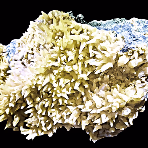 Item #94096604826532313810021462276079008274490893871398392433461387187234606678032 Media