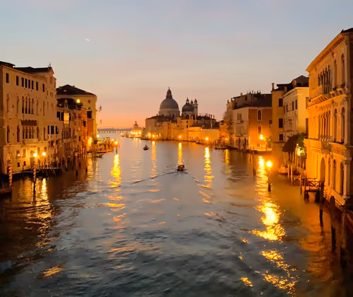 surferkiddo Collection