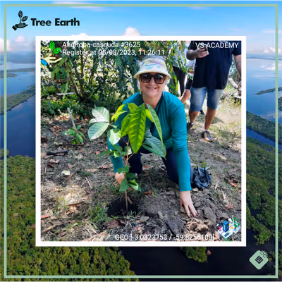 Item #8500196597889277390194123329501889087166328879864934763448349387765779005441 Media