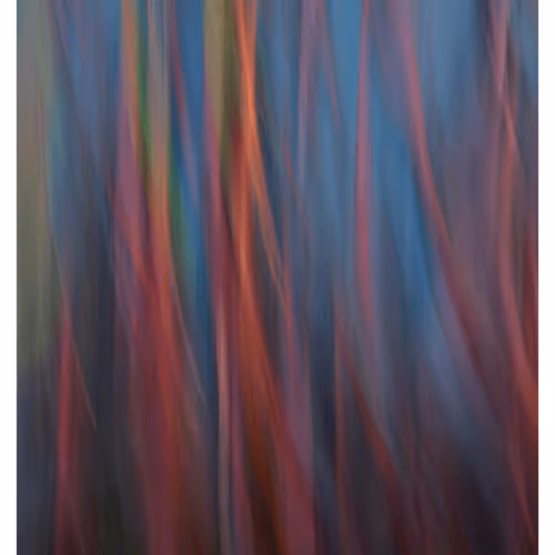 Item #23265726314410109476129301555838572111439838682222879854994044470726584434689 Media