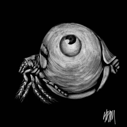 Item #77614511146470264358960422071308590595865824285225743465306557011598944239617 Media