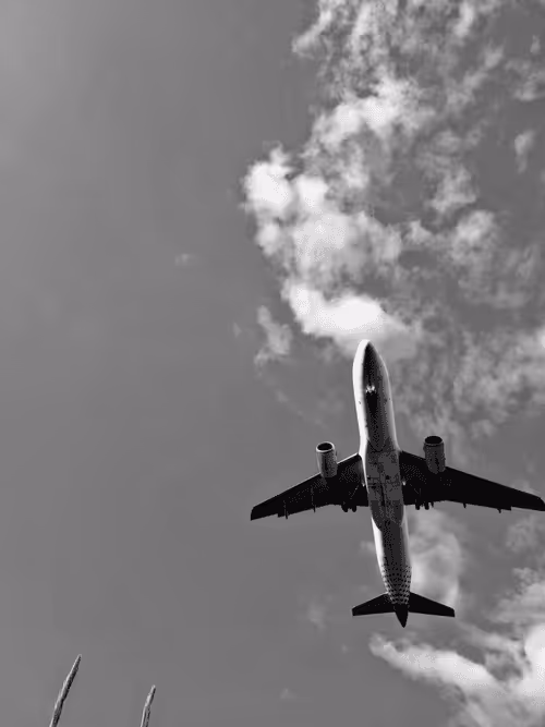 Item #36816001644917254617906175698674191035781868216999975889902342334365147594753 Media