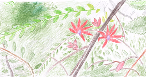 Item #23868826954703786931510511568205826115186971475765391307194903874339464019969 Media