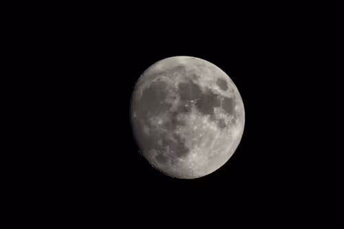 Untitled Collection #62258297