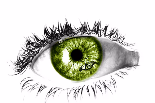 Item #112077979670973144980647134264756575521856972075993112666501500339179227185153 Media