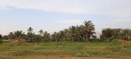 Item #102261849573001106478238355002433970663178483337531386322941819873116639199233 Media