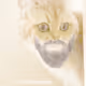 83265928962201686241254642987046582778416472587696843464678179823917692092417