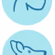 82976026235184190740749219672907382473916956517542236763613400789455061647361