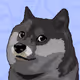 55130431603255406319512766822349157492839010929437263517364188324303114076161